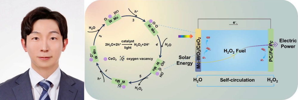 반도체전자공학부 임주원 교수 연구팀, 이종접합 반도체 광전극 개발로 차세대 광전화학 전지 성능 획기적 향상 대표이미지